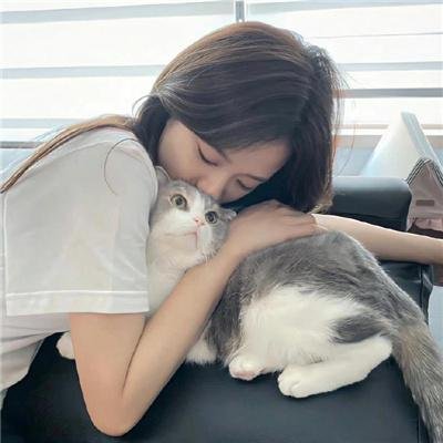 龙公主的冒险