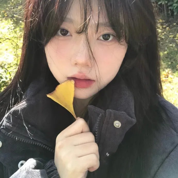 失败之翼